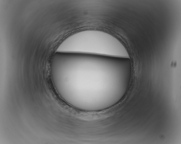 X0000115630029200911101128