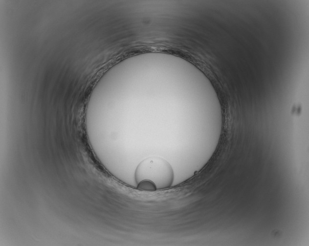 X0000115630030200911101128
