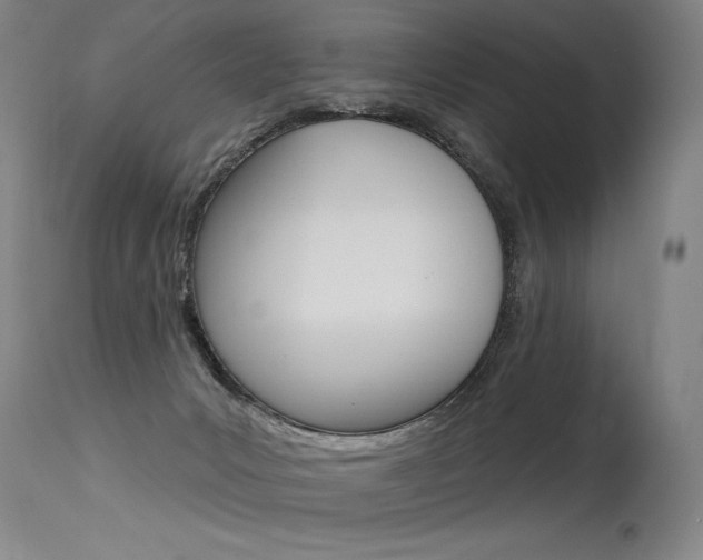 X0000115630031200911101128