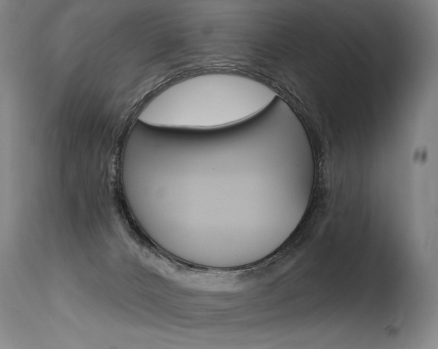 X0000115630032200911101128
