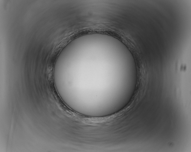 X0000115630033200911101128