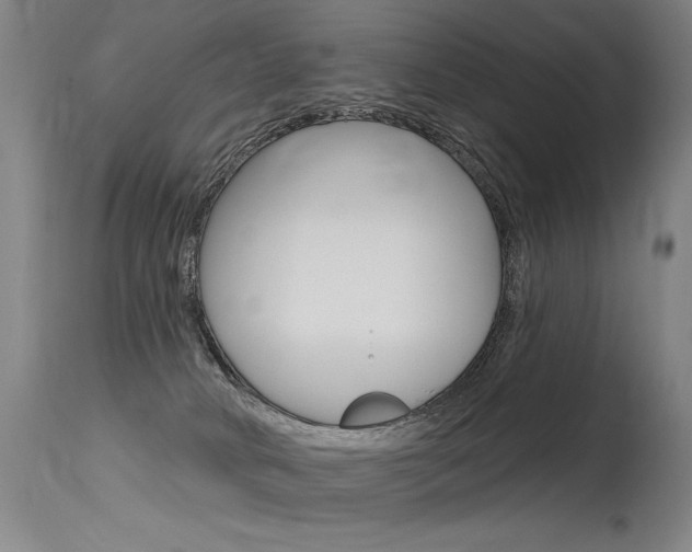 X0000115630034200911101128
