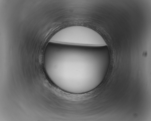 X0000115630035200911101128