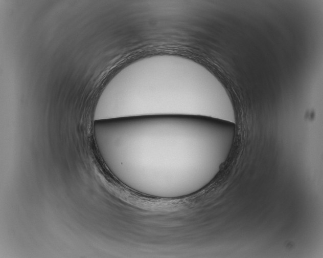 X0000115630036200911101128