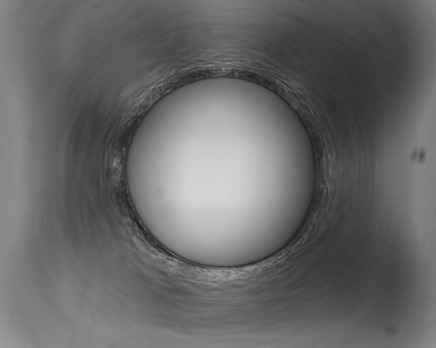 X0000115630037200911101128