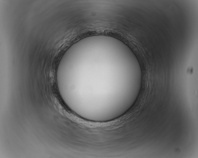 X0000115630039200911101128