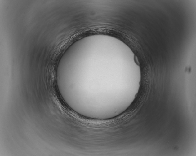 X0000115630040200911101128