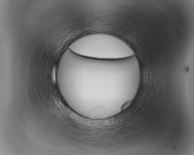 X0000115630042200911101128