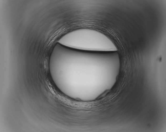 X0000115630044200911101128