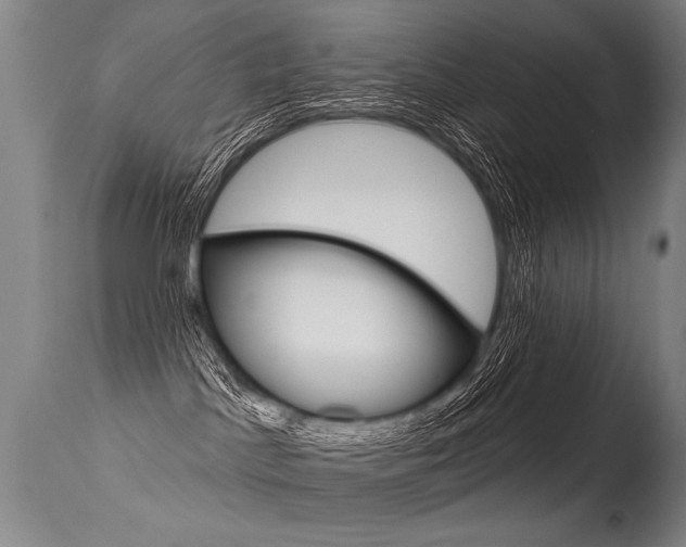 X0000115630045200911101128