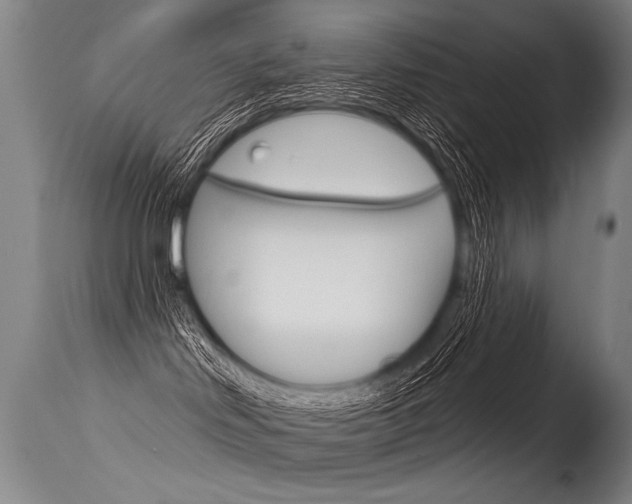 X0000115630046200911101128
