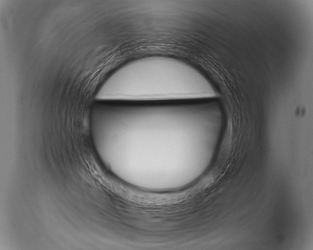 X0000115630048200911101128