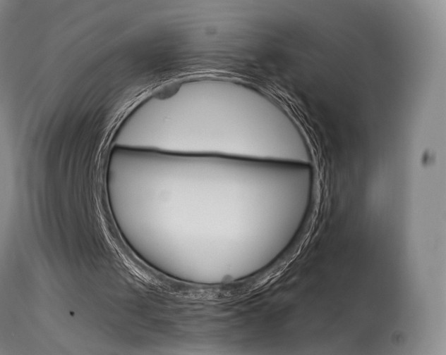 X0000115630049200911101127
