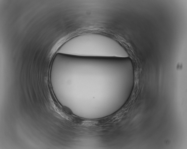 X0000115630051200911101127
