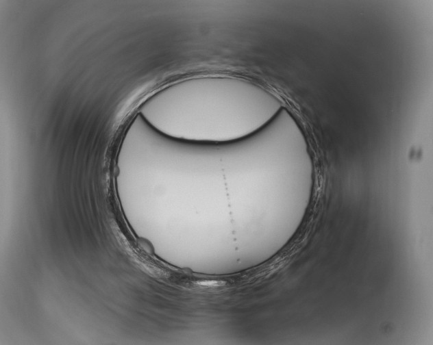 X0000115630053200911101127