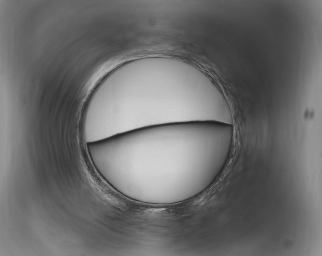 X0000115630054200911101127