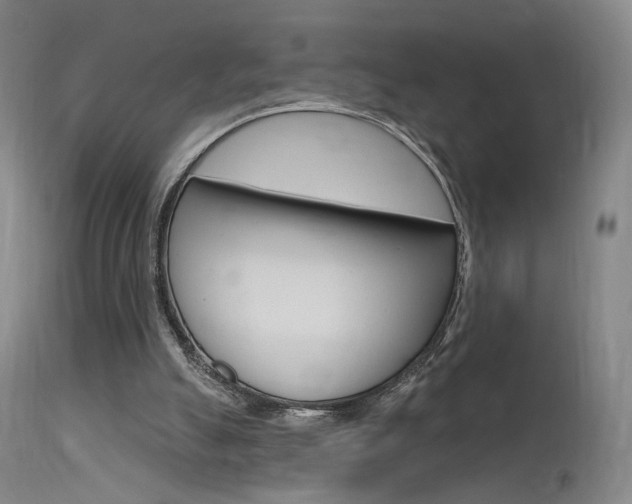 X0000115630055200911101127