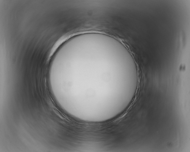 X0000115630056200911101127