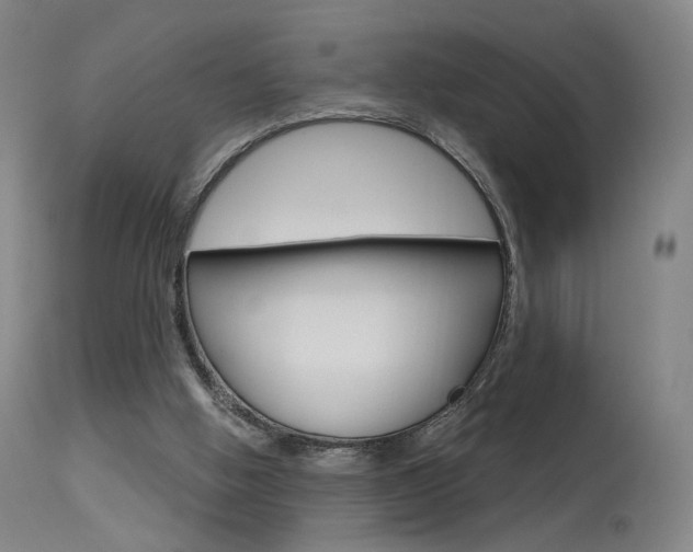 X0000115630058200911101127