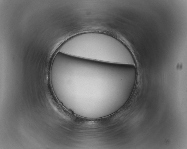 X0000115630059200911101127