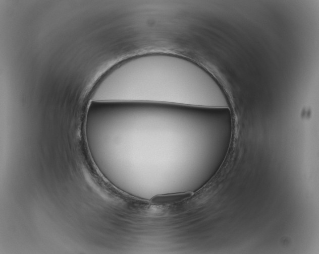 X0000115630060200911101127