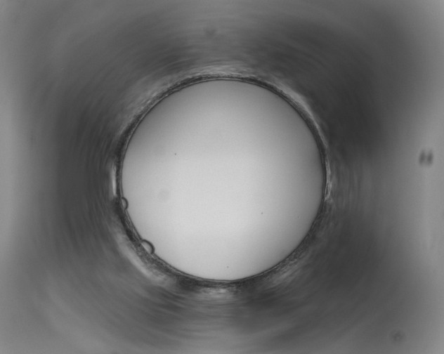 X0000115630061200911101128