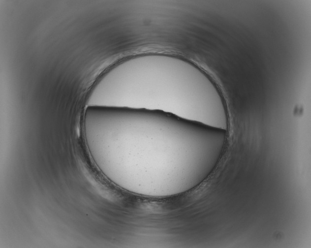 X0000115630062200911101128