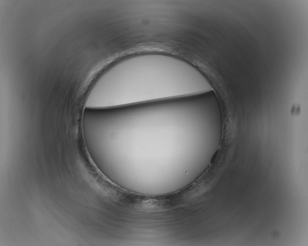 X0000115630064200911101128