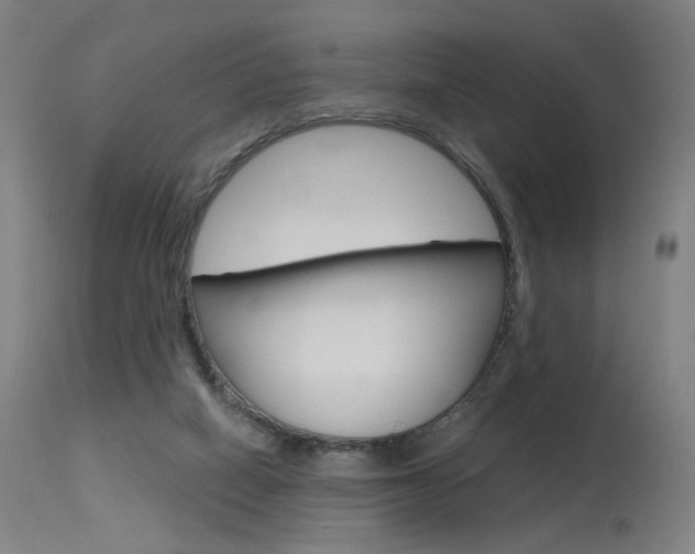 X0000115630066200911101128