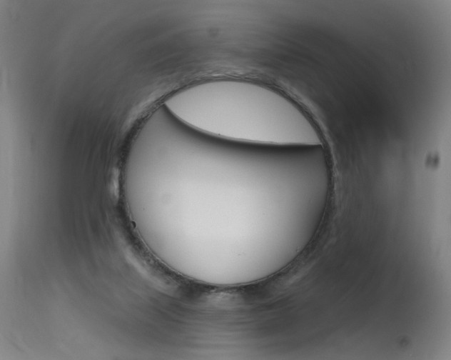 X0000115630067200911101128