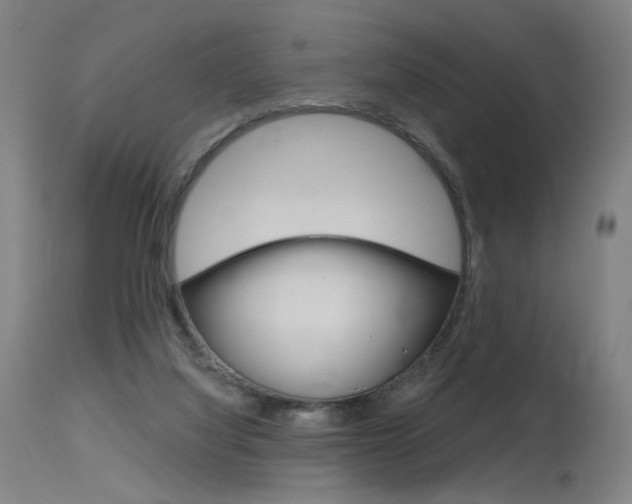 X0000115630068200911101128