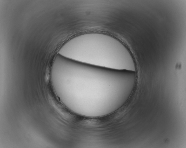X0000115630069200911101128