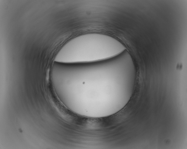 X0000115630070200911101128