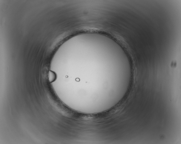X0000115630071200911101128