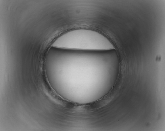 X0000115630072200911101128