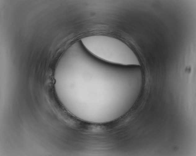 X0000115630073200911101128