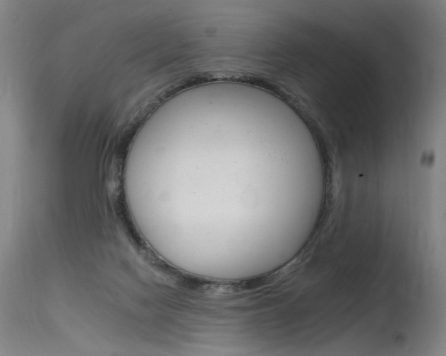 X0000115630074200911101128