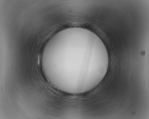 X0000115630075200911101128