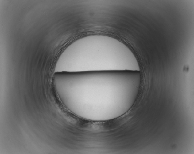 X0000115630078200911101128