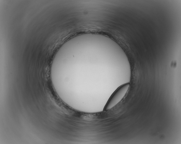 X0000115630079200911101128