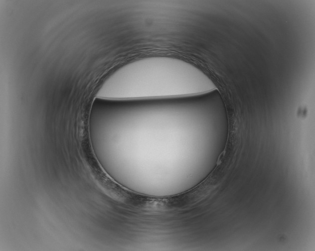 X0000115630080200911101128