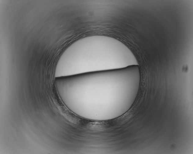 X0000115630082200911101128