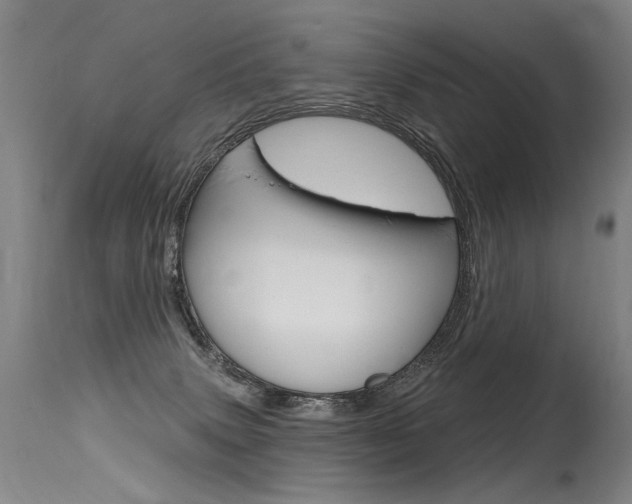 X0000115630083200911101128