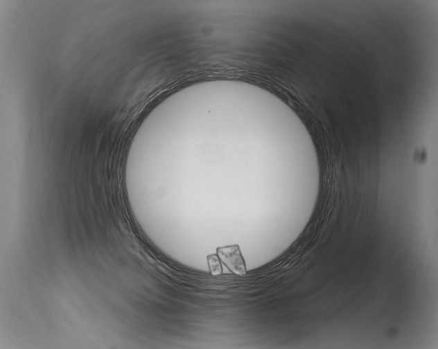 X0000115630084200911101128