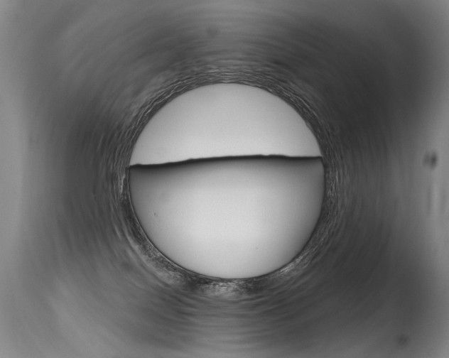 X0000115630086200911101128