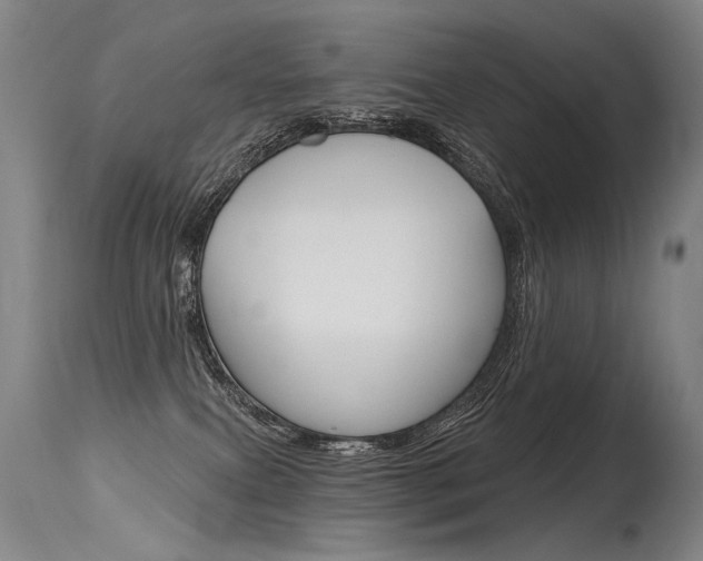 X0000115630087200911101128