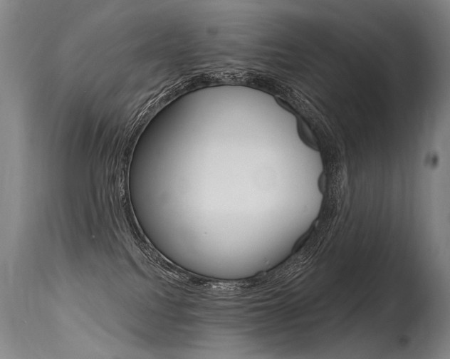 X0000115630088200911101128