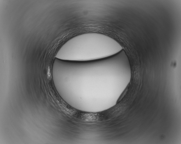 X0000115630089200911101128