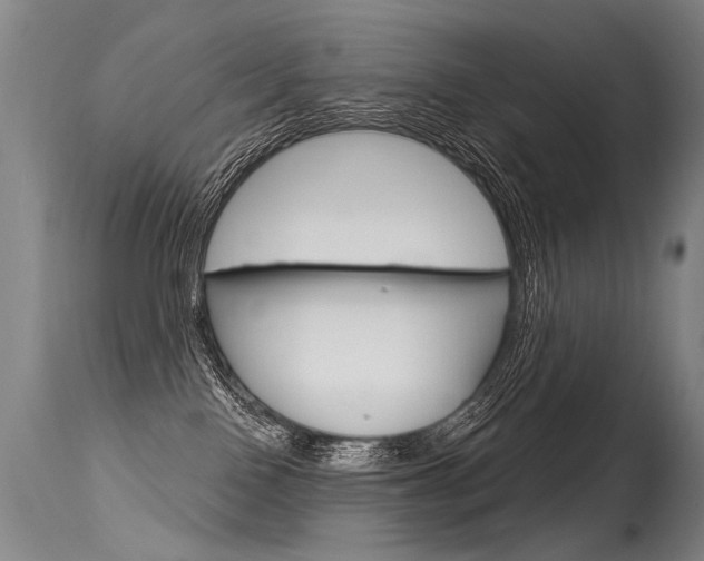 X0000115630090200911101128