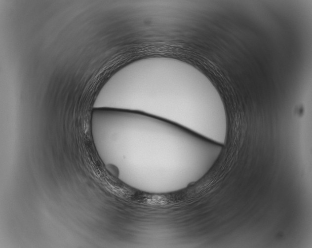 X0000115630091200911101128